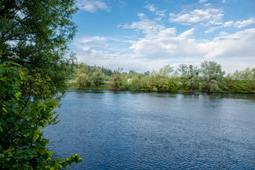 Quiet water in the middle of lush greenery