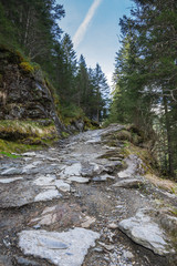 Panoramic view of french Alps