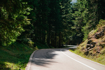 Empty curvy forest road