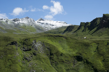 Fototapeta na wymiar mountain meadow in Austria