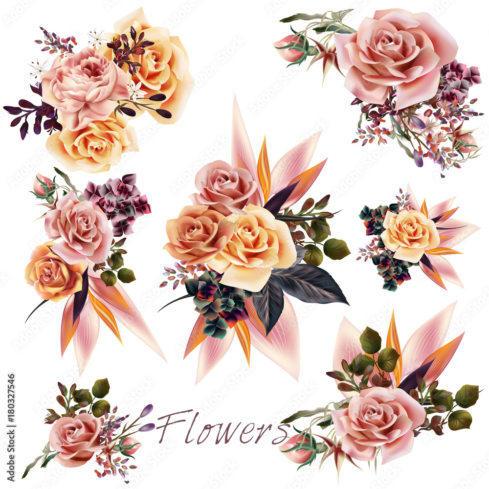 Poster big collection of vector roses and leafs for design