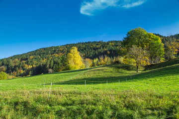 Obraz premium Montagne en automne