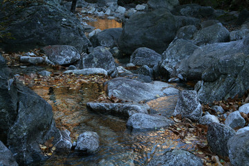 Verzasca im Herbstlicht