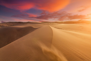 Beautiful sand dunes in the Sahara desert - obrazy, fototapety, plakaty