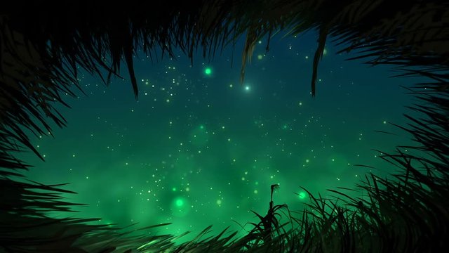 Looking at sky from grass at night with fireflies loop
