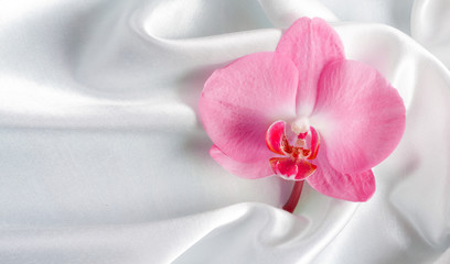 Naklejka na ściany i meble Orchid on a background of silk