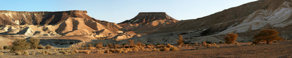 Negev-Wüste, Panorama