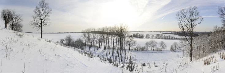 Foto auf Leinwand winterlandschap in zuid-limburg © twanwiermans