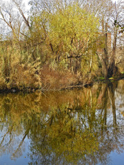 reflejos en el agua en la zona del río , en Girona Cataluña España 