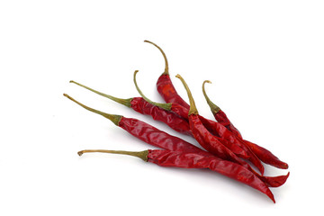 Chili on white background