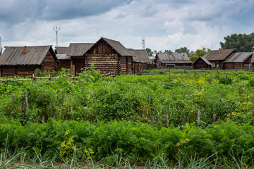 Fototapeta na wymiar Houses and environment in Shushinskoe, Russia
