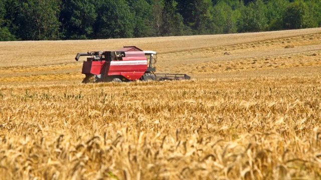 Combine harvester front in wheat field at hot summer time 