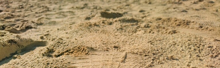 Sand Strand