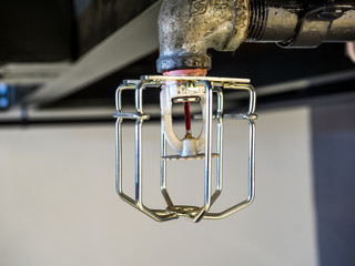 Fire sprinkler with protective cage