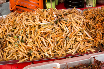 Little worm for snack , Disgusting food , In Thailand is called 