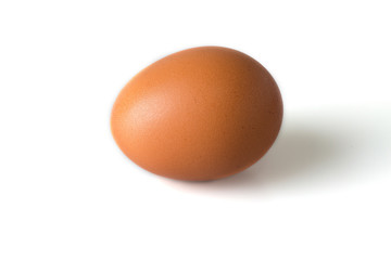 Single chicken egg isolated