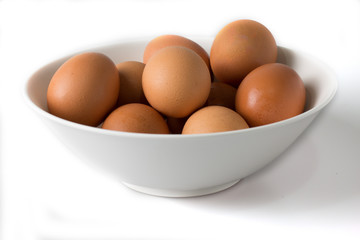 Chicken egg isolated