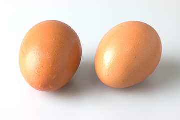 Two chicken eggs isolated