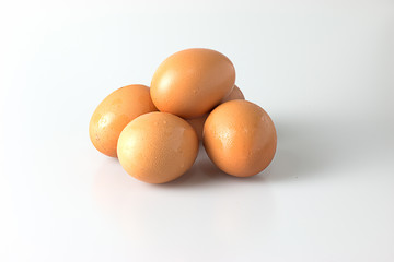 Five chicken eggs isolated