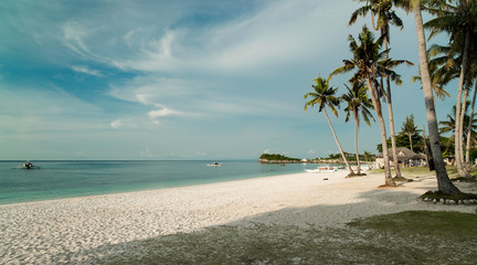 Fototapeta na wymiar Palms on paradise beaches - Malapascua Island - Philippines 
