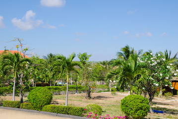 Fototapeta premium tropical garden