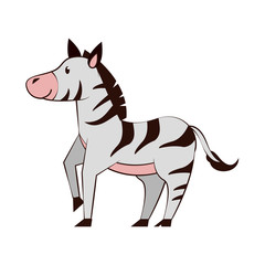 Fototapeta na wymiar Cute zebra cartoon icon vector illustration graphic design