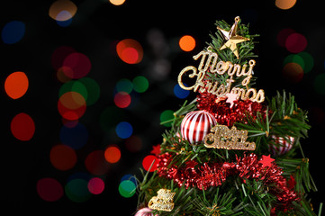 Christmas tree isolated on colorful background