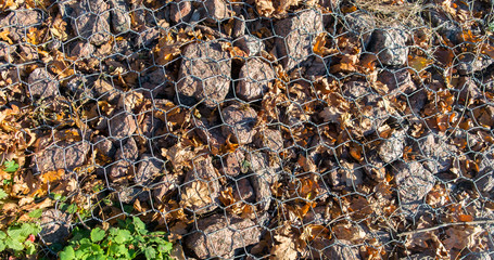 Background of rocks and autumn leaves under chicken wire, close-up