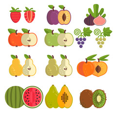 Vector collection of  fruits.