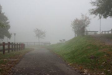 autunno con la nebbia