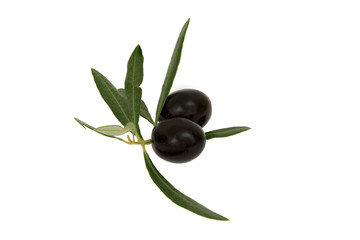 Organic black olives with leaves isolated on a white background
