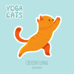 Sticker with cute cat practicing yoga