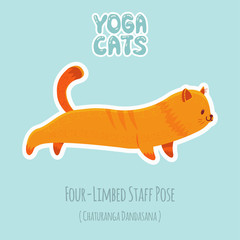 Sticker with cute cat practicing yoga - 180342151