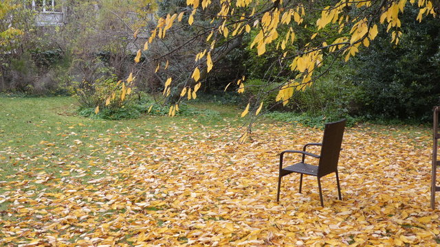 Sorrow, Grief, Missing Person - Empty Chair In A Nice Autumn Garden