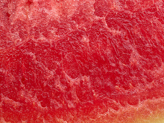 Abstract texture of watermelon.