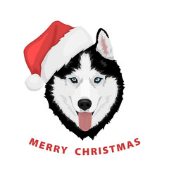 Dog portrait in a red Santa's hat. Black and white Siberian husky with blue eyes. Merry Christmas and Happy New Year. The dog is a symbol of 2018. Vector illustration © Sergey Bogdanov