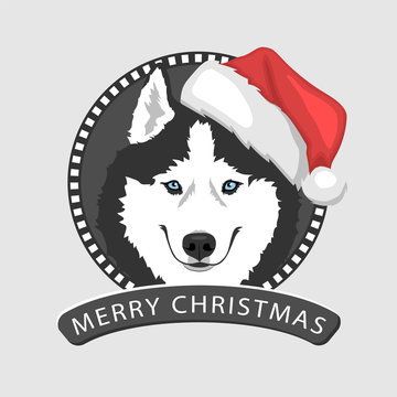 Dog portrait in a red Santa's hat. Black and white Siberian husky with blue eyes. Christmas and New Year greeting card. The dog is a symbol of 2018. Vector illustration