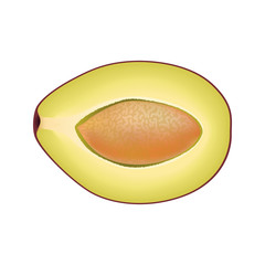 Isolated half of plum on white background. Realistic colored slice with pit.