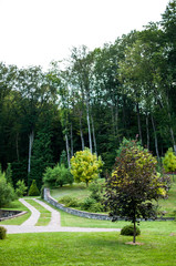 green summer park with high trees
