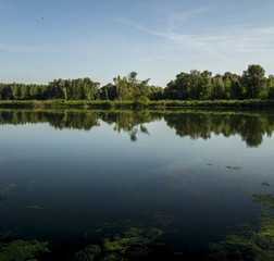 Floodplains on the Danube