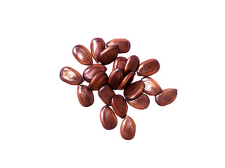 Close up seeds of White Popinac tree