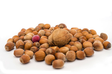 Hazelnut, hazelnuts, nuts on white background