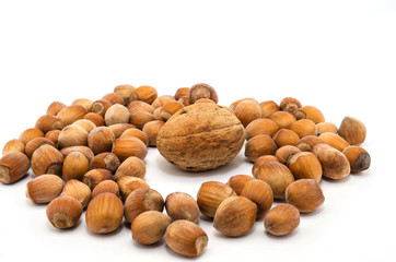 Hazelnut, hazelnuts, nuts on white background