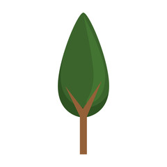 tree plant isolated icon vector illustration design