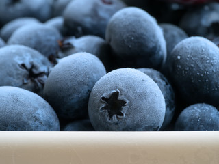 Freeze of Blueberry