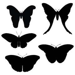 Black and white silhouettes of butterflies