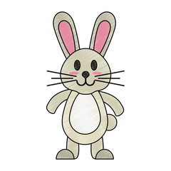 Cute bunny cartoon icon vector illustration graphic design