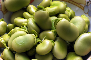 Vicia faba Bob Fava Broad bean Bob obecný Fave Haba Ackerbohne פול Bóndabaunir Բակլա Tuinboon Cucina Bób crudista Härkäpapu leguminoasă