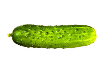 Cucumber on a white background.