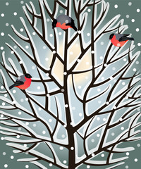 Winter tree with birds